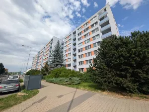 Pronájem bytu 2+1, Mladá Boleslav, Havlíčkova, 65 m2