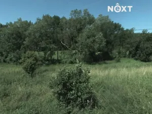Prodej louky, Dobrkovice, 7192 m2