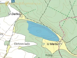 Prodej podílu lesa, Březovice, 36905 m2