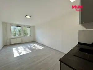 Pronájem bytu 1+kk, Týn nad Vltavou, Komenského, 20 m2