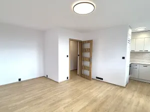 Prodej bytu 1+kk, Praha - Karlín, Nekvasilova, 29 m2