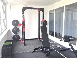 Prodej bytu 1+kk, Praha - Karlín, Nekvasilova, 29 m2