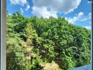 Prodej bytu 2+1, Brno, Voříškova, 52 m2