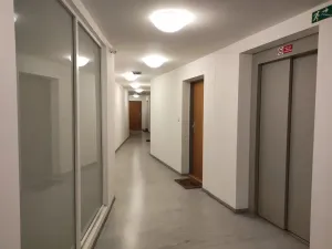 Pronájem bytu 1+kk, Brno, Škárova, 37 m2