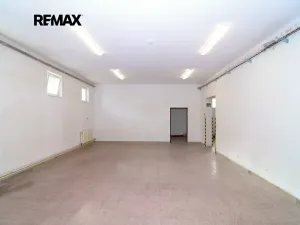Pronájem obchodního prostoru, Brněnec, 238 m2