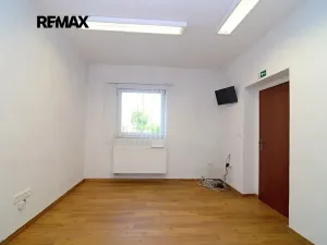 Pronájem obchodního prostoru, Brněnec, 238 m2