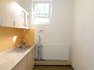 Pronájem obchodního prostoru, Brněnec, 238 m2