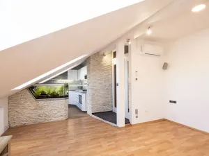 Pronájem bytu 2+kk, Opava, Mánesova, 48 m2