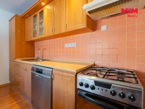 Pronájem bytu 1+1, Horní Slavkov, Dlouhá, 49 m2