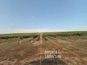 Prodej sadu/vinice, Terezín, 5465 m2
