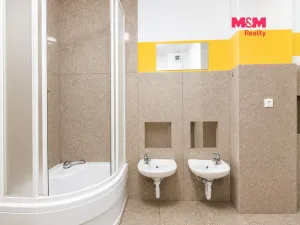 Pronájem bytu 4+kk, Hradec Králové, Rokycanova, 105 m2