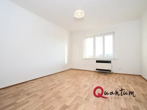 Pronájem bytu 1+kk, Praha - Vinohrady, Fričova, 32 m2