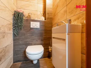 Prodej obchodního prostoru, Bechyně, 340 m2