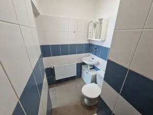 Pronájem obchodního prostoru, Ostrava - Mariánské Hory, Bendlova, 165 m2