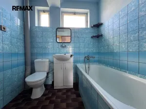 Prodej vícegeneračního domu, Veselí nad Lužnicí, K. H. Máchy, 350 m2