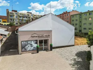 Prodej obchodního prostoru, Vyškov, Žižkova, 900 m2