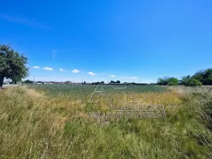 Prodej louky, Vodňany, Stožická, 3872 m2