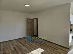 Pronájem bytu 1+kk, Praha - Podolí, Kaplická, 25 m2