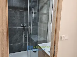 Pronájem bytu 1+kk, Praha - Podolí, Kaplická, 25 m2