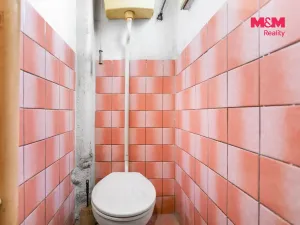 Prodej bytu 5+1, Starý Plzenec, Nádražní, 185 m2