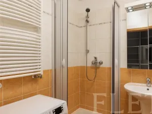 Pronájem bytu 1+kk, Praha - Holešovice, Osadní, 49 m2