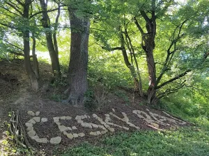 Prodej pozemku, Březina, 842 m2