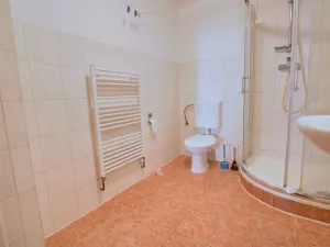 Pronájem bytu 3+kk, Brno, Hrnčířská, 75 m2