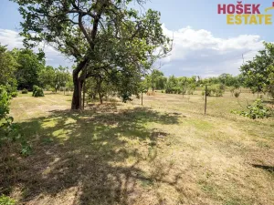 Prodej rodinného domu, Trnové Pole, 290 m2
