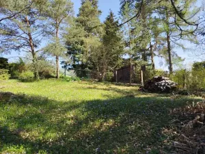 Prodej chaty, Nespeky, Jižní, 45 m2