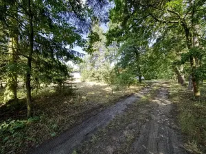 Prodej pozemku pro bydlení, Pňovany, 1096 m2