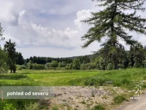 Prodej pozemku, Přední Výtoň, Svatý Tomáš, 2479 m2