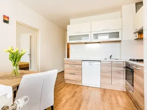 Prodej bytu 2+kk, Brno, Horácké náměstí, 47 m2