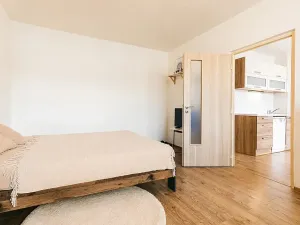 Prodej bytu 2+kk, Brno, Horácké náměstí, 47 m2