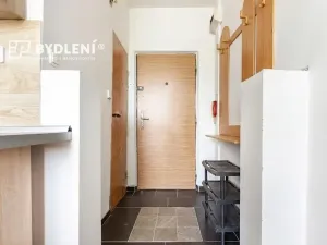 Prodej bytu 1+1, Louny, Březinova, 36 m2