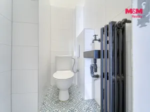 Pronájem bytu 4+1, Plzeň - Vnitřní Město, Bedřicha Smetany, 160 m2