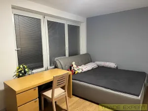 Prodej rodinného domu, Praha - Chodov, Pištěkova, 346 m2