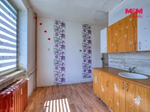 Prodej bytu 1+1, Bukovany, 39 m2