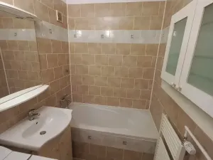 Pronájem bytu 1+kk, Brno, Spodní, 30 m2