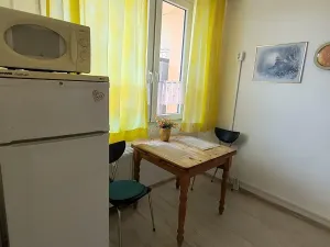 Prodej bytu 2+1, Teplice, Alejní, 50 m2
