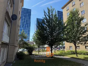Pronájem bytu 3+kk, Brno, Šumavská, 75 m2