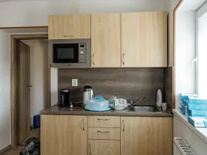 Prodej výrobních prostor, Dubí, Horská, 3047 m2