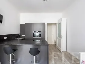 Pronájem bytu 1+kk, Praha - Žižkov, Slavíkova, 27 m2