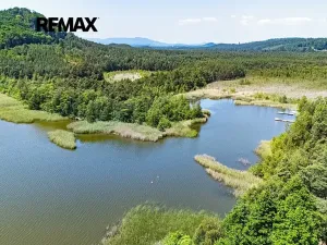 Prodej komerční nemovitosti, Doksy, 1850 m2