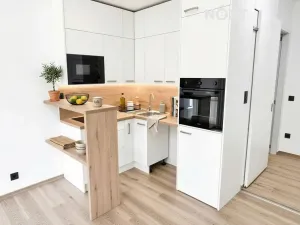 Pronájem bytu 1+kk, České Budějovice, Plzeňská, 19 m2