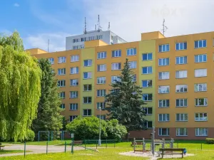 Pronájem bytu 1+kk, České Budějovice, Plzeňská, 19 m2