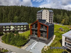 Prodej vícegeneračního domu, Pec pod Sněžkou, 303 m2