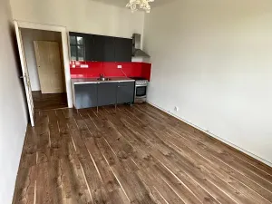 Pronájem bytu 2+kk, Praha - Žižkov, Hartigova, 56 m2