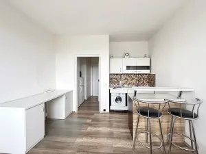 Pronájem bytu 1+kk, Brno, Halasovo náměstí, 26 m2