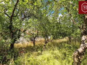Prodej rodinného domu, Třešť, Partlicova, 199 m2
