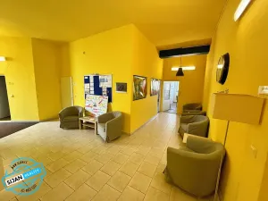 Pronájem kanceláře, Opava, Lepařova, 10 m2